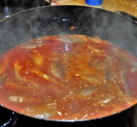 Ploticijada / Foto: Metković NEWS